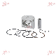  Infz Motorcycle Engine Spare Parts Factory Cylinder Piston Kit Piston Ring Kit for Bajaj Bm100, CT100 Bajaj 100 Discover 112 Bm150 Boxer 150 Discover 150