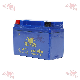  Infz Carbon Fiber Motorcycle Parts Suppliers Ytx7a-BS Starting Motorcycle Battery China Maintenance Free Motorcycle Battery for 12n6.5-BS