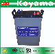  Factory Price Electric Boat Deep Cycle Battery 6V 420ah