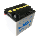 12N24-3 Vrla Lead Acid Battery For Medical Mobility Wheelchair manufacturer