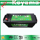  2017 New 120ah 12V Heavy Duty SMF Truck Battery N120