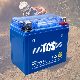TCS AGM construction YT14L 12 volt gel cell battery For Utility Vehicle manufacturer