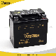  Hot Quality Motorcycle Accessories Motorcycle Battery Yt5l-BS