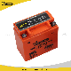  Motorcycle Battery Maintenance Free (MF) High Performance Dry Lead Acid Battery