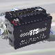 TCS Motorcycle Battery Sealed Maintenance Free YTZ14S-BS manufacturer
