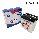  Motorcycle Parts Water Cell / Water Battery for CB3l-B