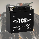  YT14BL-BS Valve Regulated Lead Acid Yb14La2 Battery For Electric Tricycles