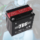  Starting Power 9Ah Yt9A-Bs Valve Regulated Lead Acid Battery For Utility Vehicle