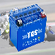  TCS Start-up Battery 12N12A motorcycle battery For Lawn Mower