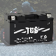 TCS Sealed Maintenance Free Motorcycle Battery YT7B-BS manufacturer