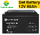  Yangtze 4*12V 48V Electric Motorcycle 80ah Battery Price