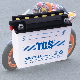 12N7B-3A Sla Agm Battery For Riding Mower