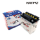  Motorcycle Parts Water Cell / Water Battery for 12n9-4b