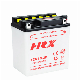 Good Quality Motorcycle Parts 12n10-3b Dry Charged Lead Acid Motorcycle Battery