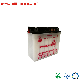  Palma Dry Charge Lead Acid Storage Battery China Suppliers Ytx20L-BS Motorcycle Lead-Acid Batteries Acid Electrolyte Motorbike Battery