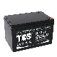 12V 10Ah 20Hr Vrla Atv Exide Deep Cycle Ups Solar Lead Acid Battery manufacturer
