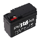 TCS Sealed Maintenance Free Motorcycle Battery  YTR4A-BS