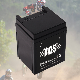 TCS Sealed Maintenance Free Motorcycle Battery 12N2.5-BS manufacturer