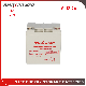  12V 24ah/26ah/28ah AGM/Gel Bateria Solar Storage Battery for Emergency-Light/Alarm/UPS/Golf-Car/Telecom/Marine/Automotive/ Motorcycle/ Bicycle/Vs: Aokly/Narada