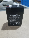  Tl6-4 6V4ah VRLA Battery AGM Battery Sealed Lead Acid Solar Battery Storage Battery Car Battery Motorcycle Battery UPS Battery