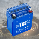 TCS Customized Good Quality 12N7A electric motorcycle battery For Snow Mobile manufacturer