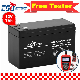  Csbattery 12V 7ah/7.2ah/7.5ah Free Maintenance Sealed Lead Acid VRLA Battery for SLA/AGM/Scooter/ATV/Electric-Power-Generator/UPS/Boo