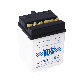 TCS Motorcycle Battery Dry Charged Lead Acid Battery YB2.5L manufacturer