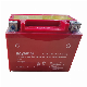  Top Quality Dry Charged Motorcycle Battery Yb6l-B-12V6ah