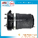  Top Quality Air Shock Absorber for BMW X5 E53 Front