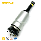  Perfectrail Rnb501580 Front Air Suspension Strut Shock Absorber for Land Rover Discovery 3 L319 2004-2009 Rnb501180 Rnb501250