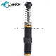 Adjustable Ad4250 Oil Press Pneumatic Hydraulic Shock Absorber