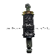  Cnhtc Sinotruk HOWO Truck Spare Parts Air Shock Absorber Wg1642440086