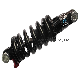  Bicycle Hydraulic Damper Coil Rear Shock Absorber Rebound
