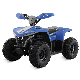  Dune Buggy Mini Jeep Four Wheeler ATV Quad Bike Electric ATV
