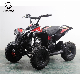  49cc 50cc 2 Stroke Pull Start Gas Powered Mini Kids ATV Quad
