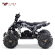  Mini Electric Kid-Friendly 4 Wheel Quad ATV