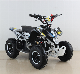  350W, 500W, 800W, 1000W Electric ATV Mini Quad for Kids