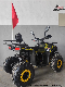  Dune Buggy 110cc Mini Kids Quad Bike ATV with CE
