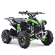  Apaq Mini Quads Kids Atvs 49cc ATV Quad Bike for Sale