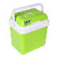  24L Thermoelectric Cooler and Warmer Car Mini Car Fridge