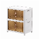  Trunk Car Organizer with Lids and Doors