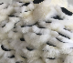  Factory Sale Natural Wool Car Wash Pad for Cleaning
