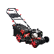  20 Inch Honda Gxv160 Engine Lawn Mower 4 in 1 Lawn Mower Honda Engine