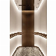  8 People Passenger Elevator Lift with Auto Door Motor & Drive