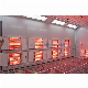  Car Paint Spray Booth with Low Price Inflatable Paint