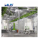 Wld2023 New Technology Professional Production Powder Spraying/Assembly/Electrostatic Coating Automobile Assembly Line
