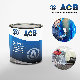  Auto Paint Coating