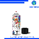 Heat Resistant Acrylic Resin Aerosol Custom Spray Auto Paint