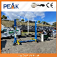  China Manufacturer High Quality 2 Post Lifting Equipment (209X)