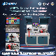 Cr IP700 Common Rail Injector and Pump Test Bench manufacturer